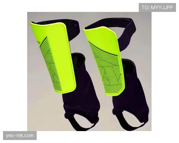 护腿板规则详解：材料、厚度、穿戴与裁判检查要点