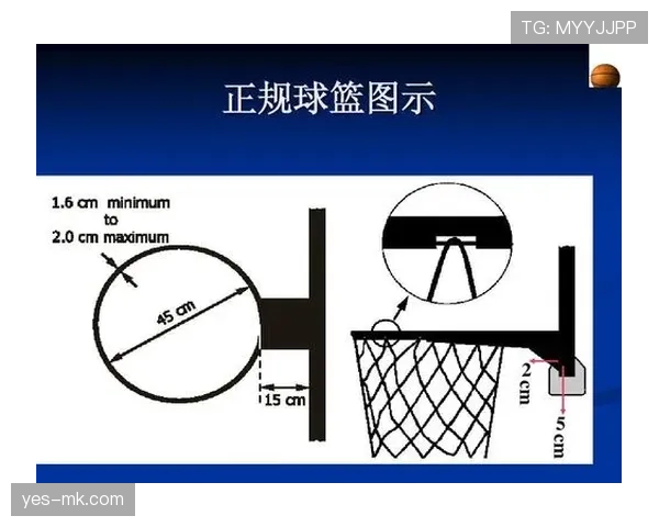 深入分析篮球规则中阻挡犯规的界定条件与裁判吹罚尺度